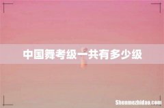 中国舞考级一共有多少级