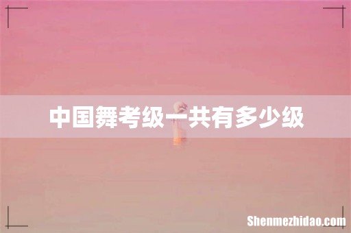 中国舞考级一共有多少级