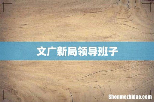 文广新局领导班子