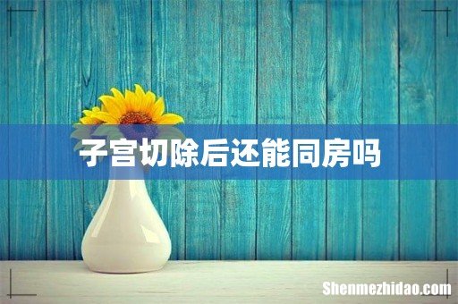子宫切除后还能同房吗