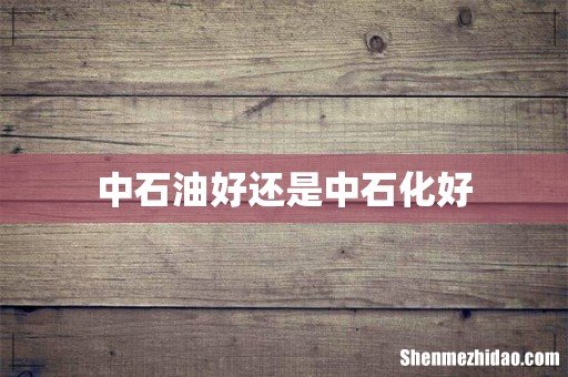 中石油好还是中石化好