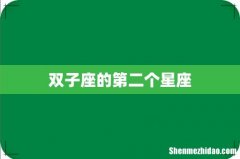 双子座的第二个星座