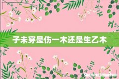 子未穿是伤一木还是生乙木