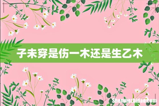 子未穿是伤一木还是生乙木