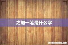 之加一笔是什么字