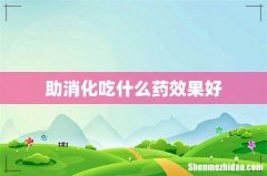 助消化吃什么药效果好