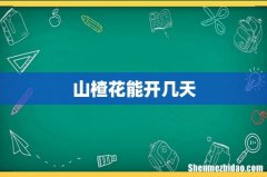 山楂花能开几天