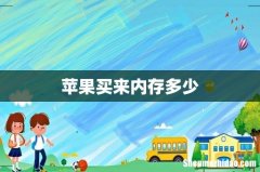 苹果买来内存多少