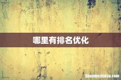 哪里有排名优化