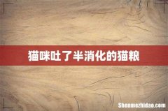 猫咪吐了半消化的猫粮