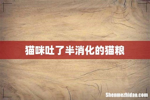 猫咪吐了半消化的猫粮