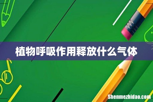植物呼吸作用释放什么气体