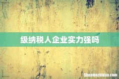 级纳税人企业实力强吗