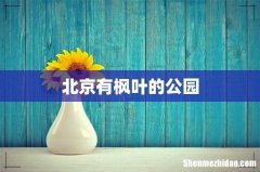 北京有枫叶的公园