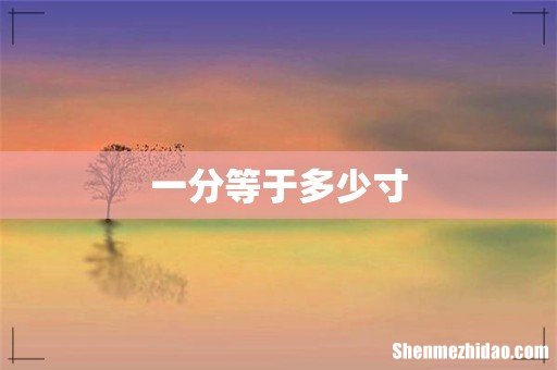 一分等于多少寸