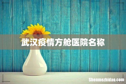 武汉疫情方舱医院名称