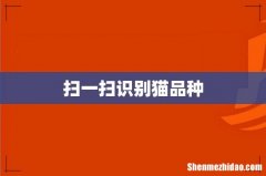 扫一扫识别猫品种