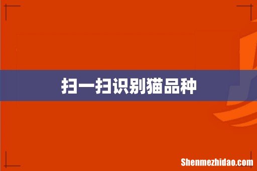 扫一扫识别猫品种