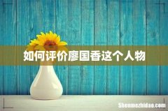 如何评价廖国香这个人物