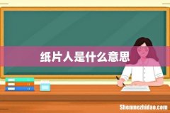 纸片人是什么意思