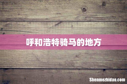 呼和浩特骑马的地方