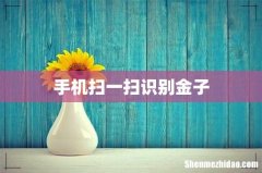 手机扫一扫识别金子
