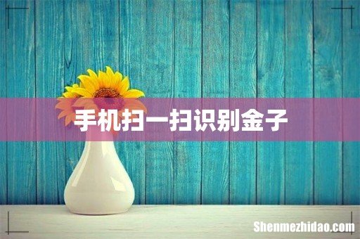 手机扫一扫识别金子