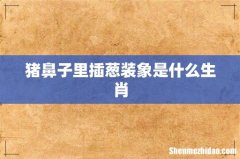 猪鼻子里插葱装象是什么生肖