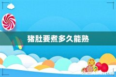 猪肚要煮多久能熟