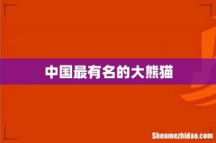 中国最有名的大熊猫