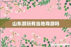 山东游玩有当地导游吗