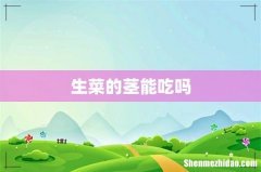 生菜的茎能吃吗