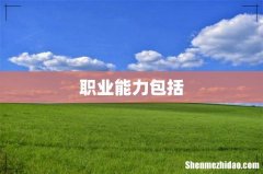 职业能力包括