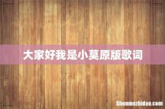 大家好我是小莫原版歌词