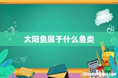 太阳鱼属于什么鱼类