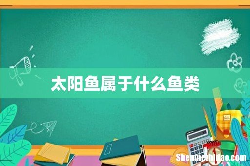 太阳鱼属于什么鱼类