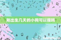 刚出生几天的小狗可以摸吗