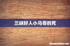 三峡好人小马哥的死
