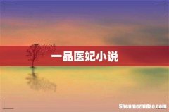 一品医妃小说