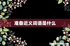 准备近义词语是什么