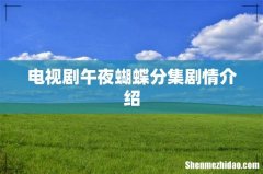 电视剧午夜蝴蝶分集剧情介绍