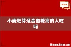 小麦胚芽适合血糖高的人吃吗