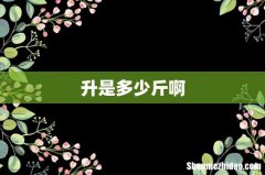 升是多少斤啊