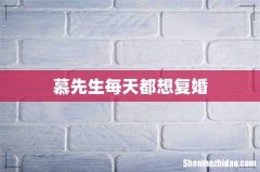 慕先生每天都想复婚