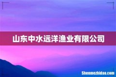 山东中水远洋渔业有限公司