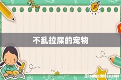 不乱拉屎的宠物
