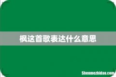 枫这首歌表达什么意思