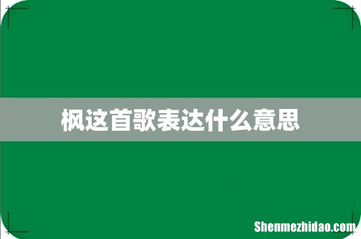 枫这首歌表达什么意思