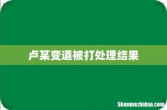 卢某变道被打处理结果