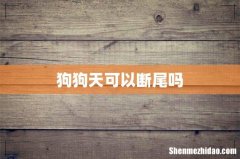狗狗天可以断尾吗